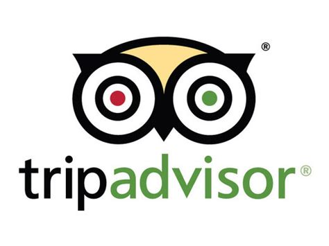 tripadvisor flights only